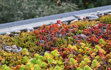 the cost of Cowgrove green roof installation